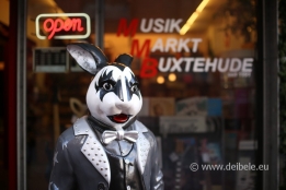 musikmarkt_6020